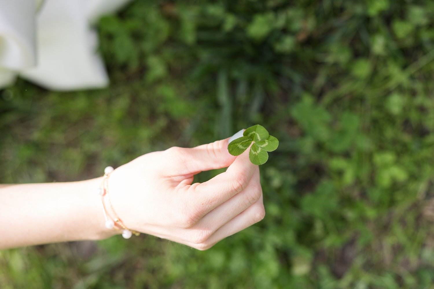 A hand holding a four-leaf clover over a lush green grass background, symbolizing luck and nature.