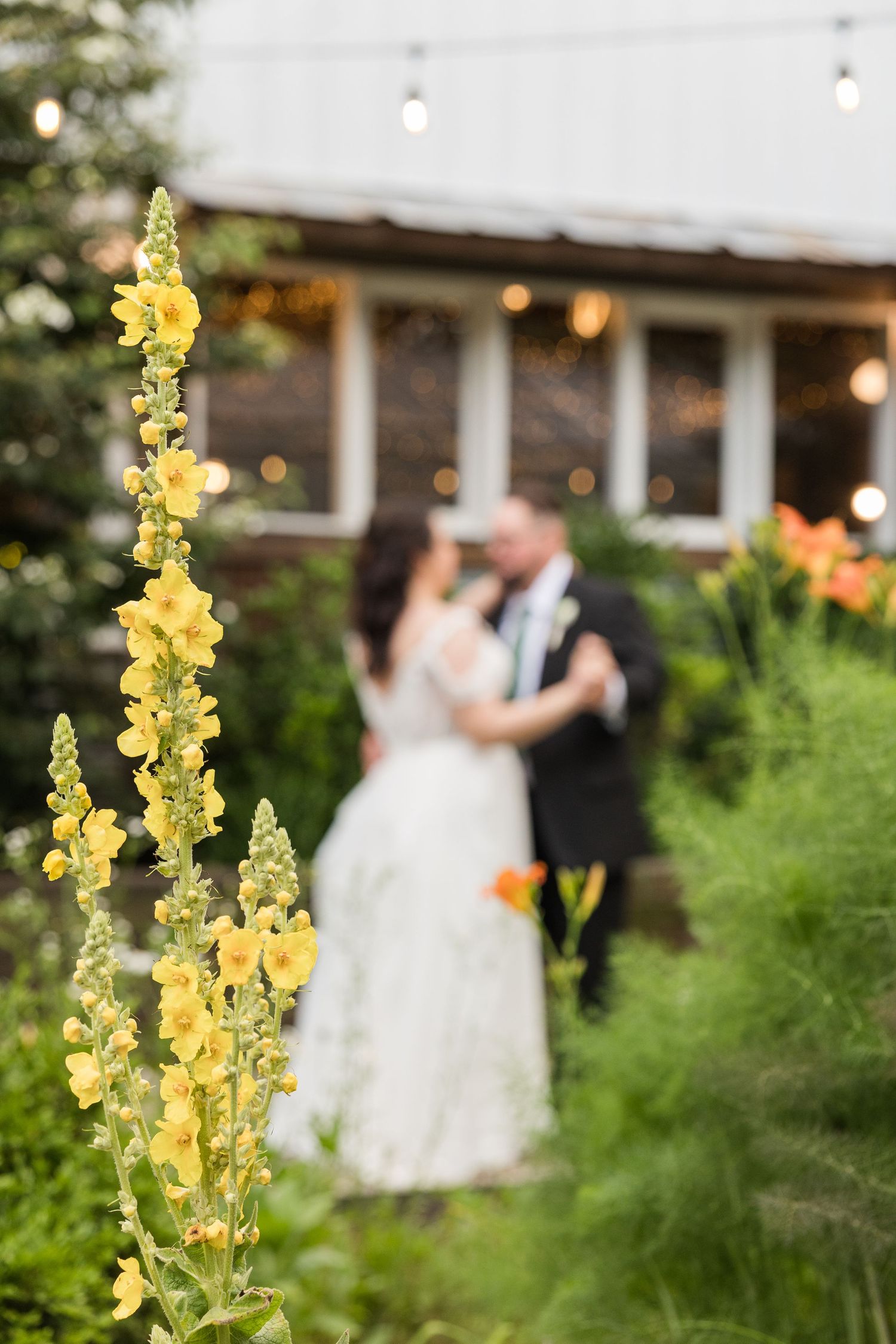 Yellow snapdragons bloom in the foreground as a couple shares a romantic moment in a garden setting at sunset.