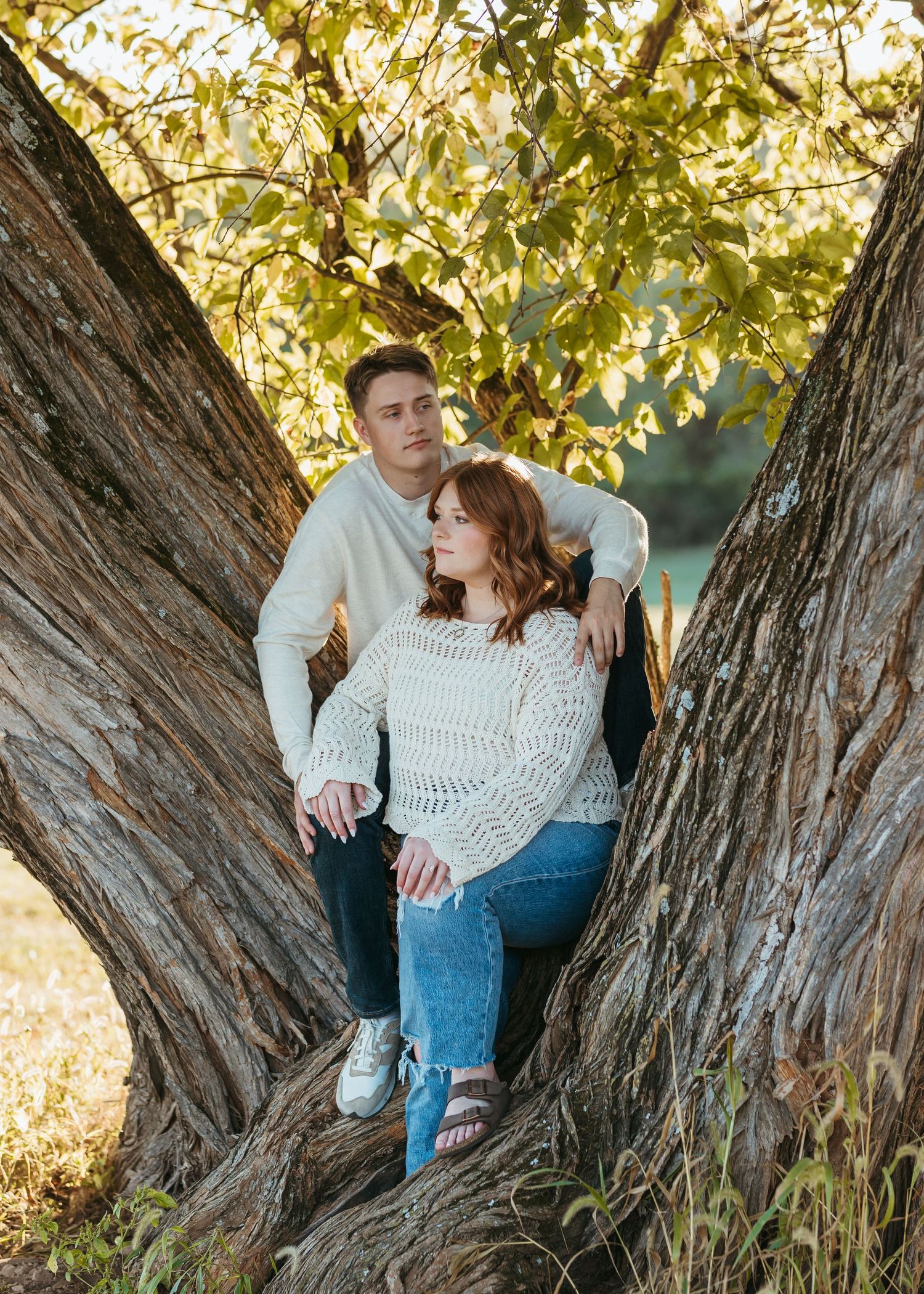 A couple poses together in the crook of a large tree trunk during golden hour.