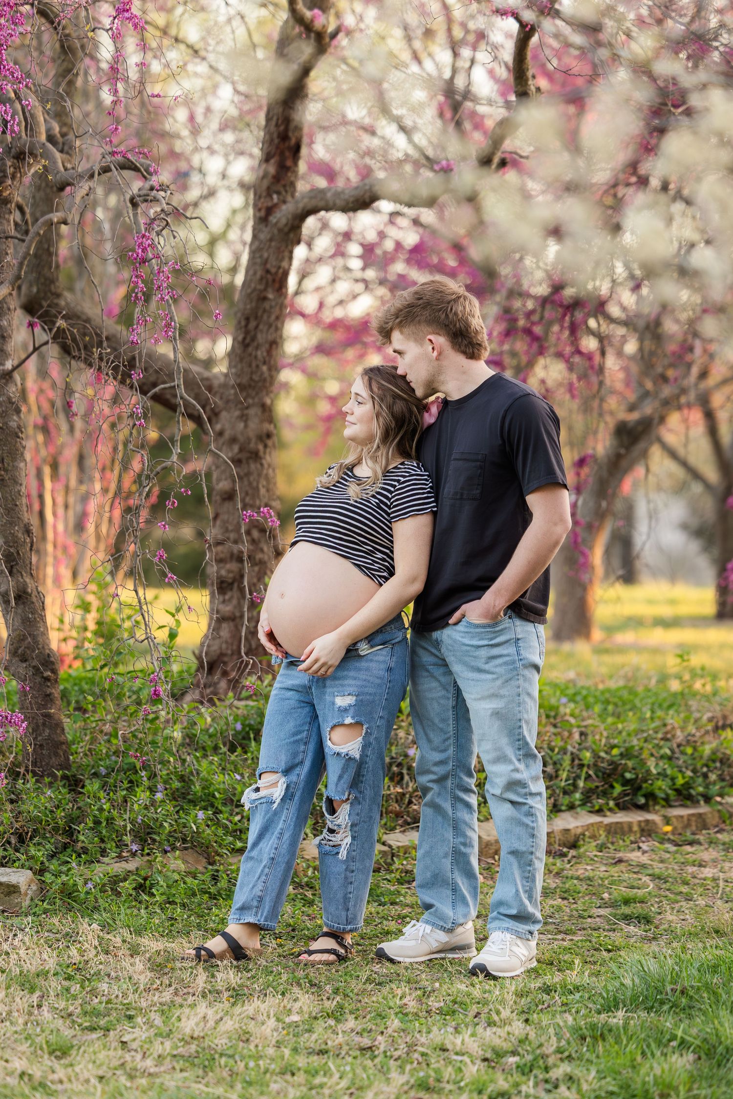 Expectant couple standing together under beautiful blooming spring cherry blossom trees in a park.