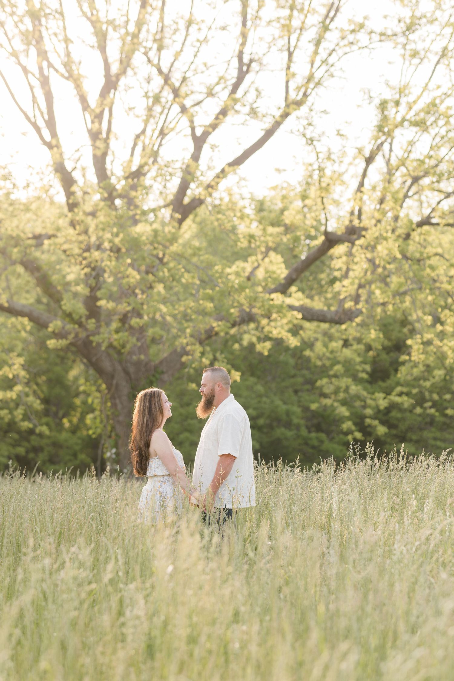 A couple stands together in a sunlit meadow of tall grass and trees during golden hour.