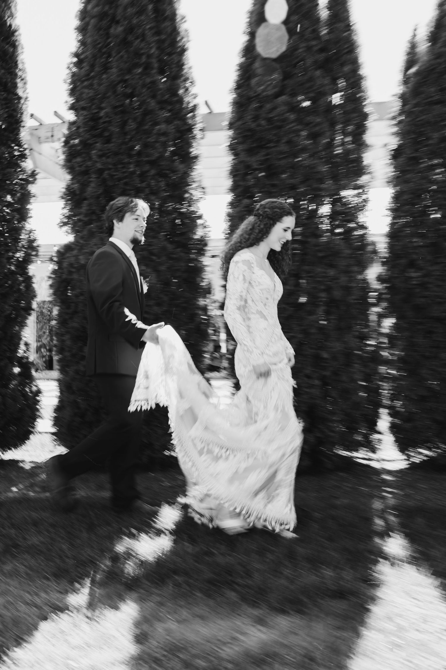 Bride and groom walking among tall cypress trees in elegant black and white wedding photo.
