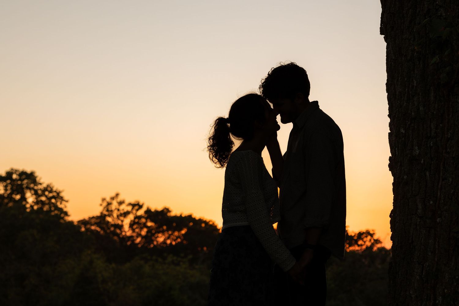 Silhouetted couple embracing during a golden sunset with trees in the background.