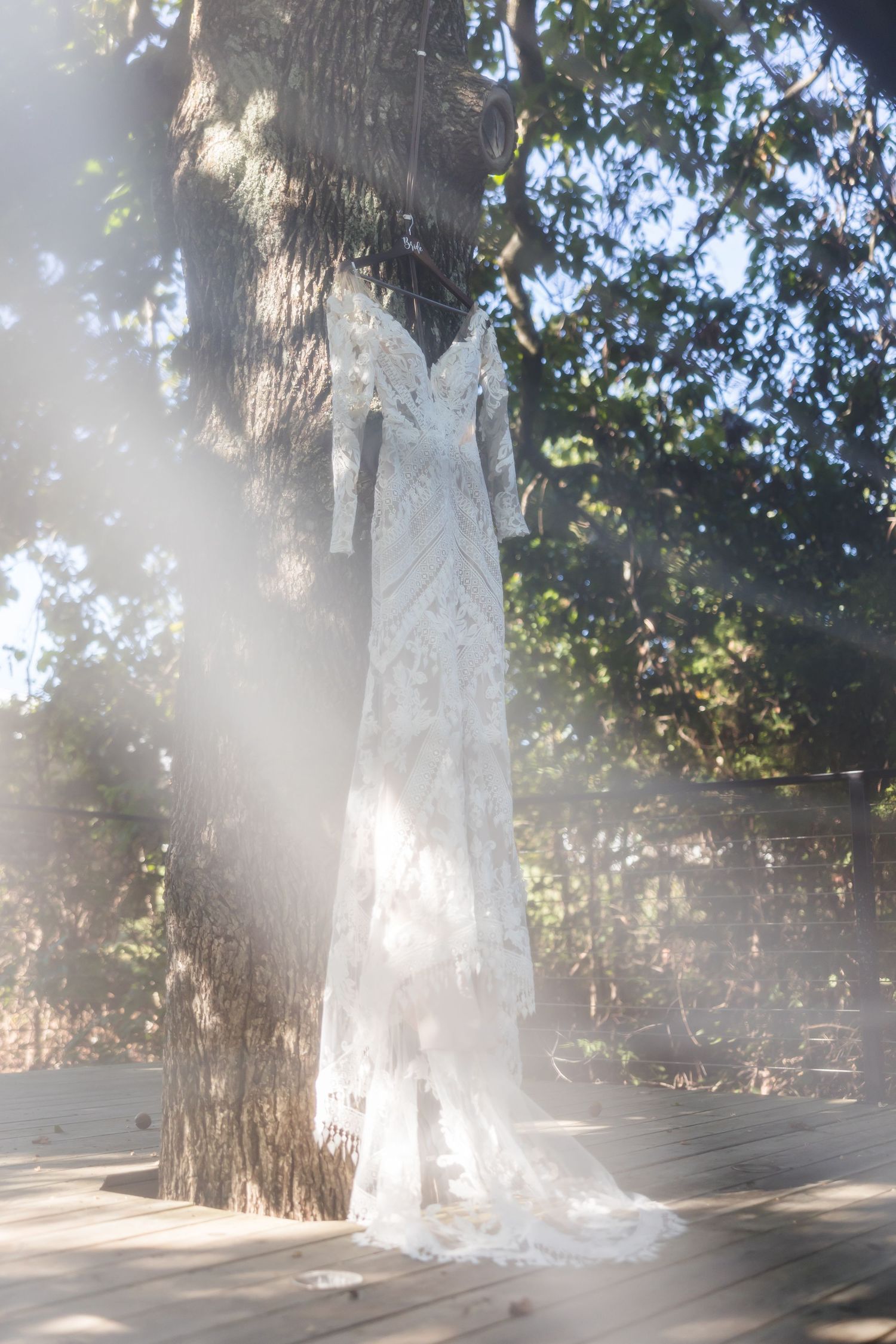 White lace wedding dress hanging on a sunlit tree outdoors.