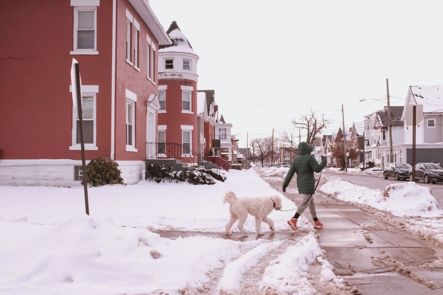 a woman and her dog walk on a snowy day