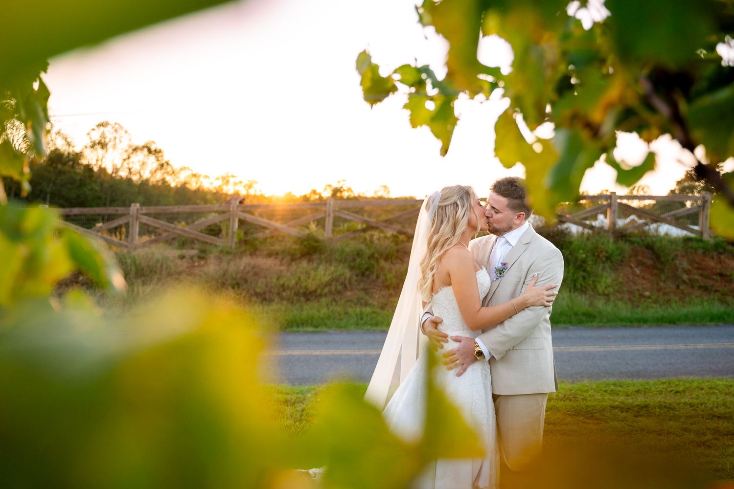 Bride and groom sharing a sunset kiss surrounded by vineyard rows in North Georgia