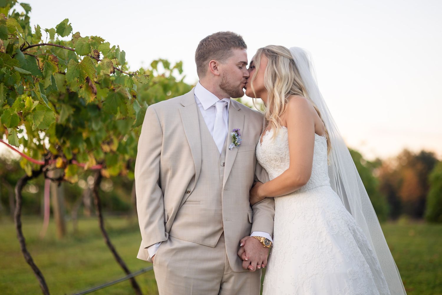 A couple in wedding attire shares romantic moments in a vineyard at sunset during their outdoor wedding photoshoot.
