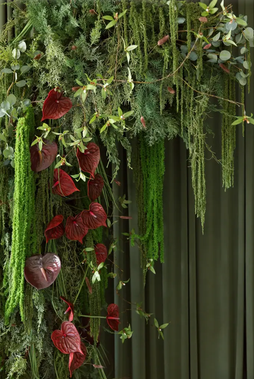 Lush vertical garden wall with red anthurium flowers and cascading green ferns against a dark olive curtain backdrop.