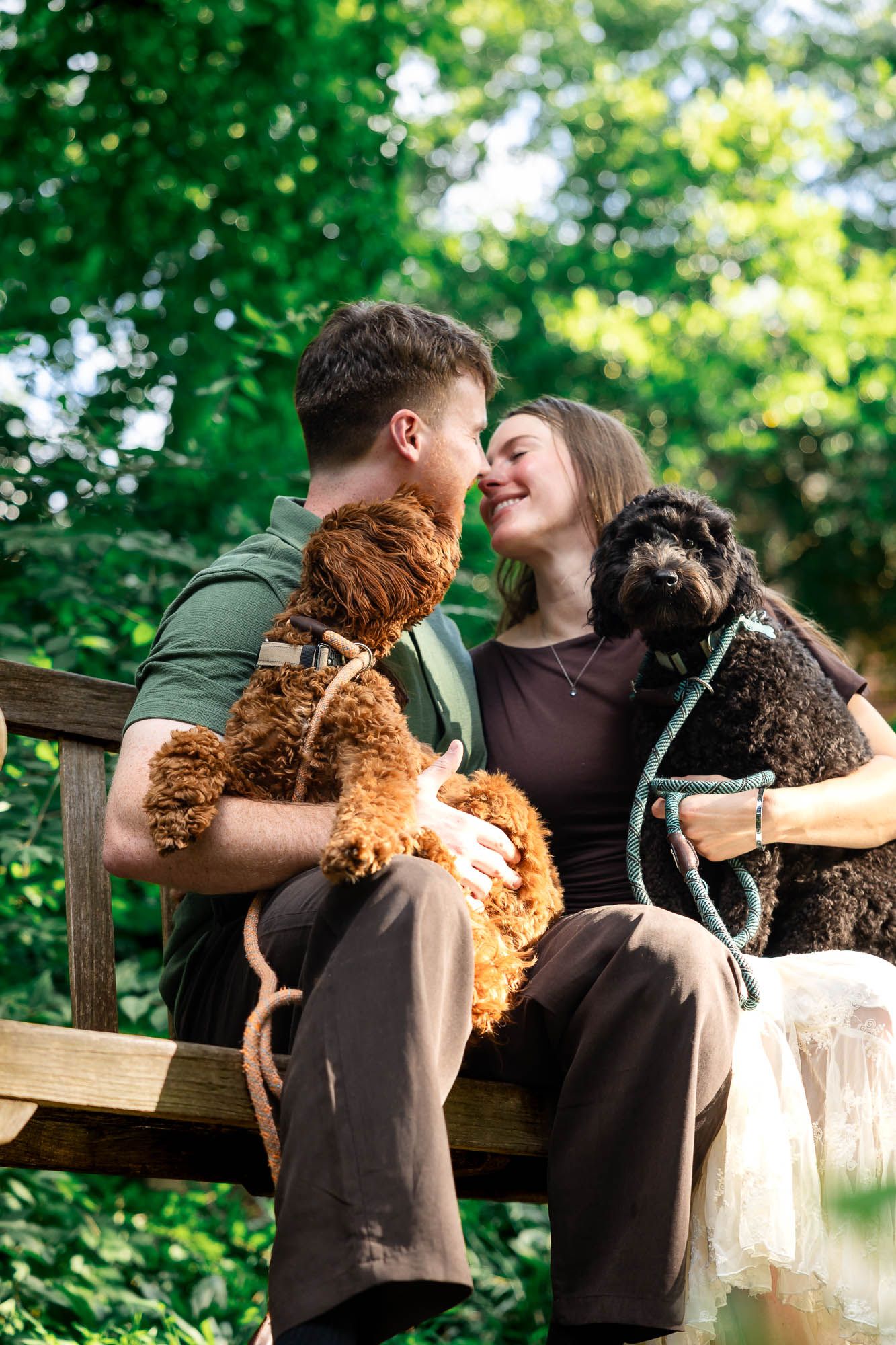 Couple sharing a romantic moment on a park bench with two fluffy dogs, surrounded by lush green trees.