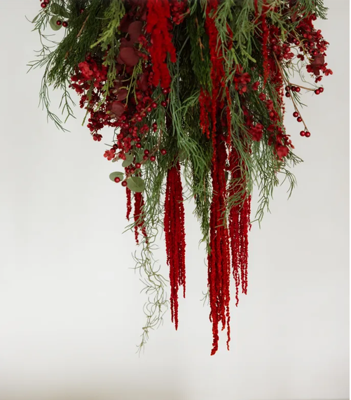 Hanging Christmas swag with red berries, amaranthus, and evergreen branches on white background.