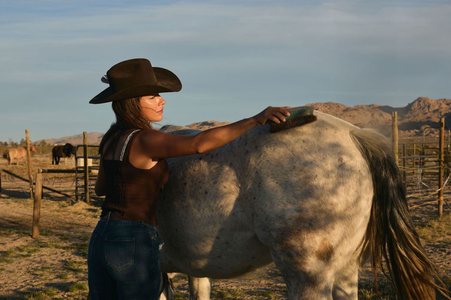 Cowgirl in hat grooming a grey horse at a ranch with mountains in the background.