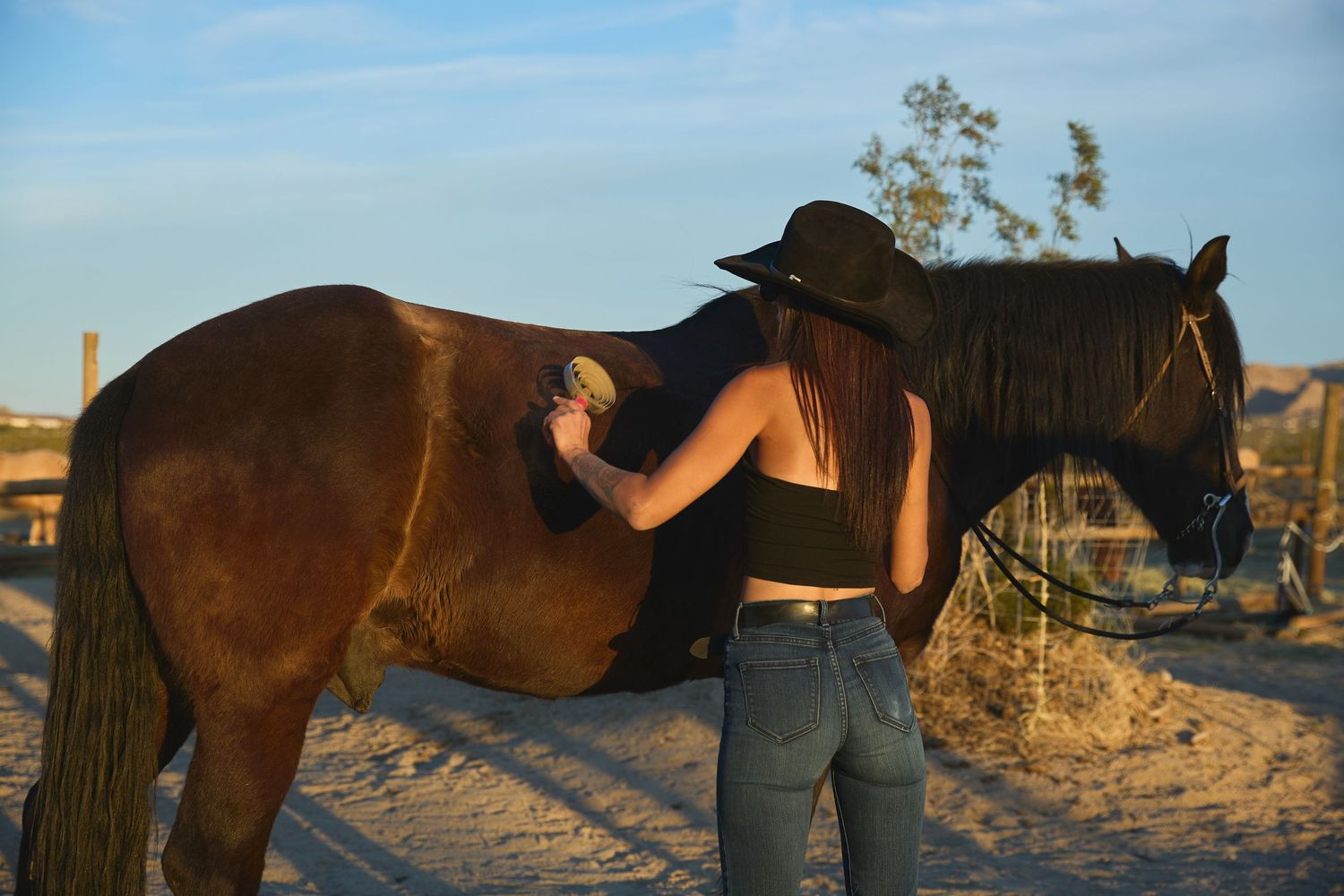 Young woman in cowboy hat and crop top grooming a brown horse outdoors in a sandy desert setting at golden hour.