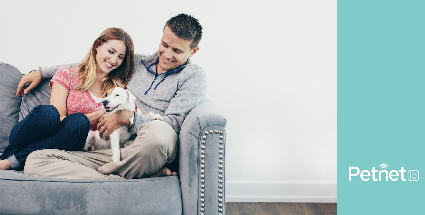 A couple relaxes on a gray couch with their small white dog in a cozy living room setting.