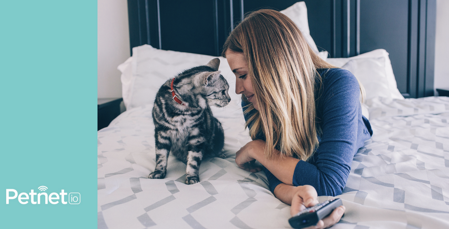 Woman lying on bed interacting with gray tabby cat on blue bedding.