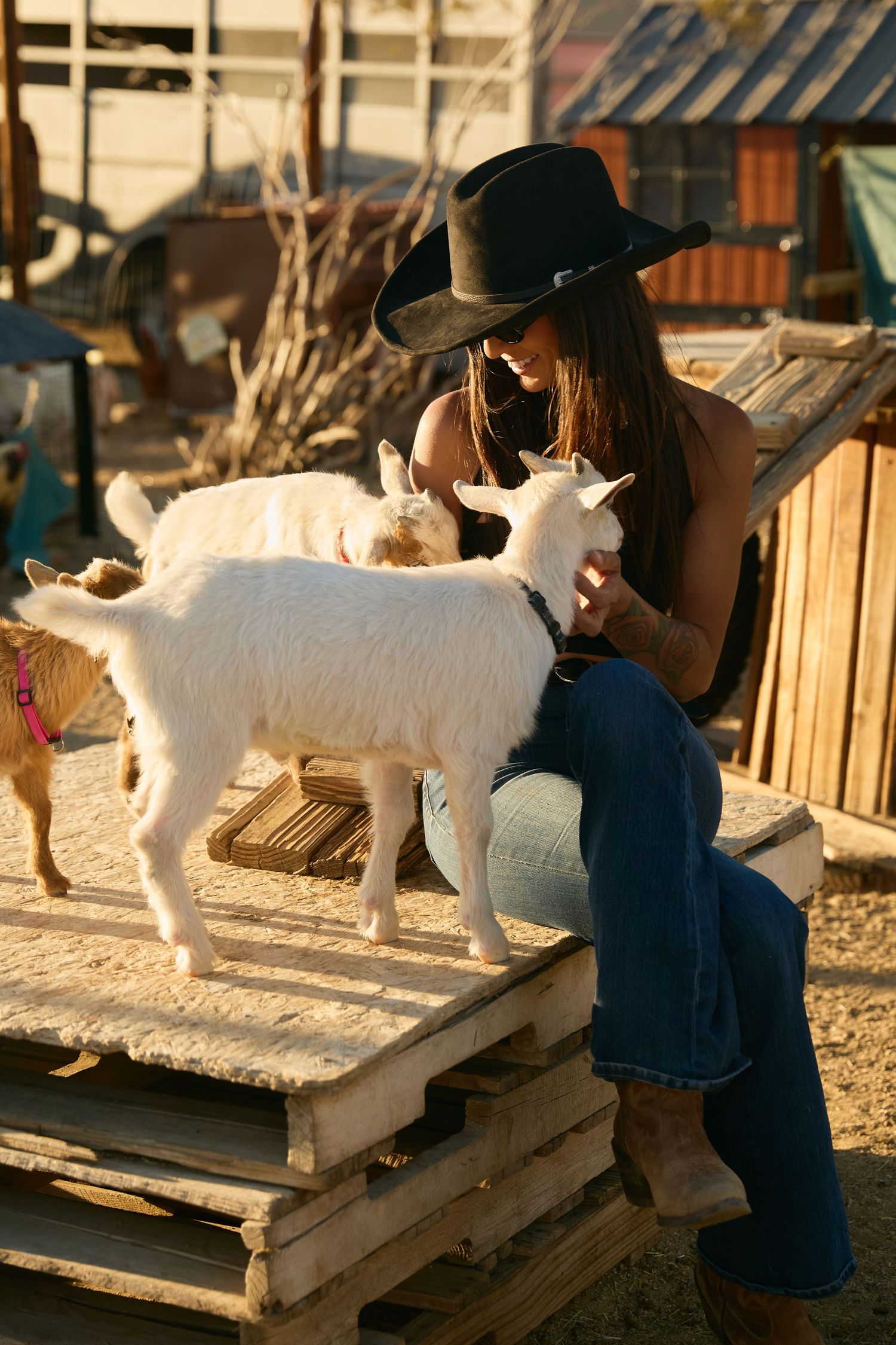 Woman in black cowboy hat sitting on wooden pallets interacting with white baby goats on a farm at golden hour.