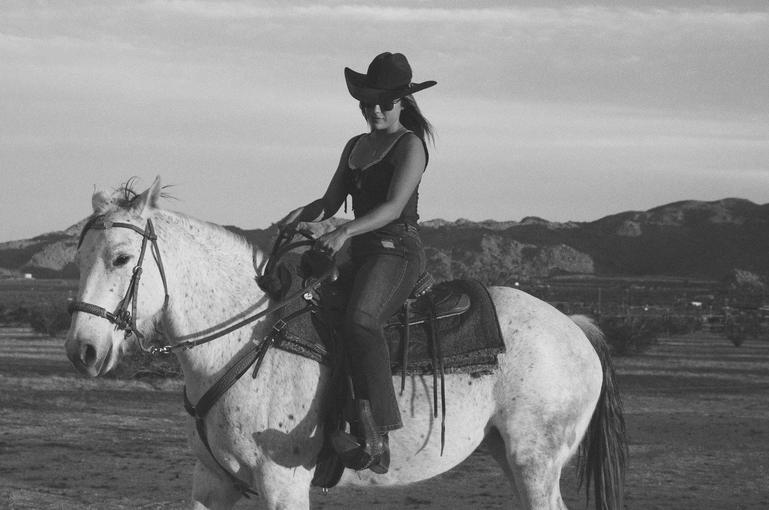 A series of vintage black and white photographs showing riders on white horses in a mountainous landscape.