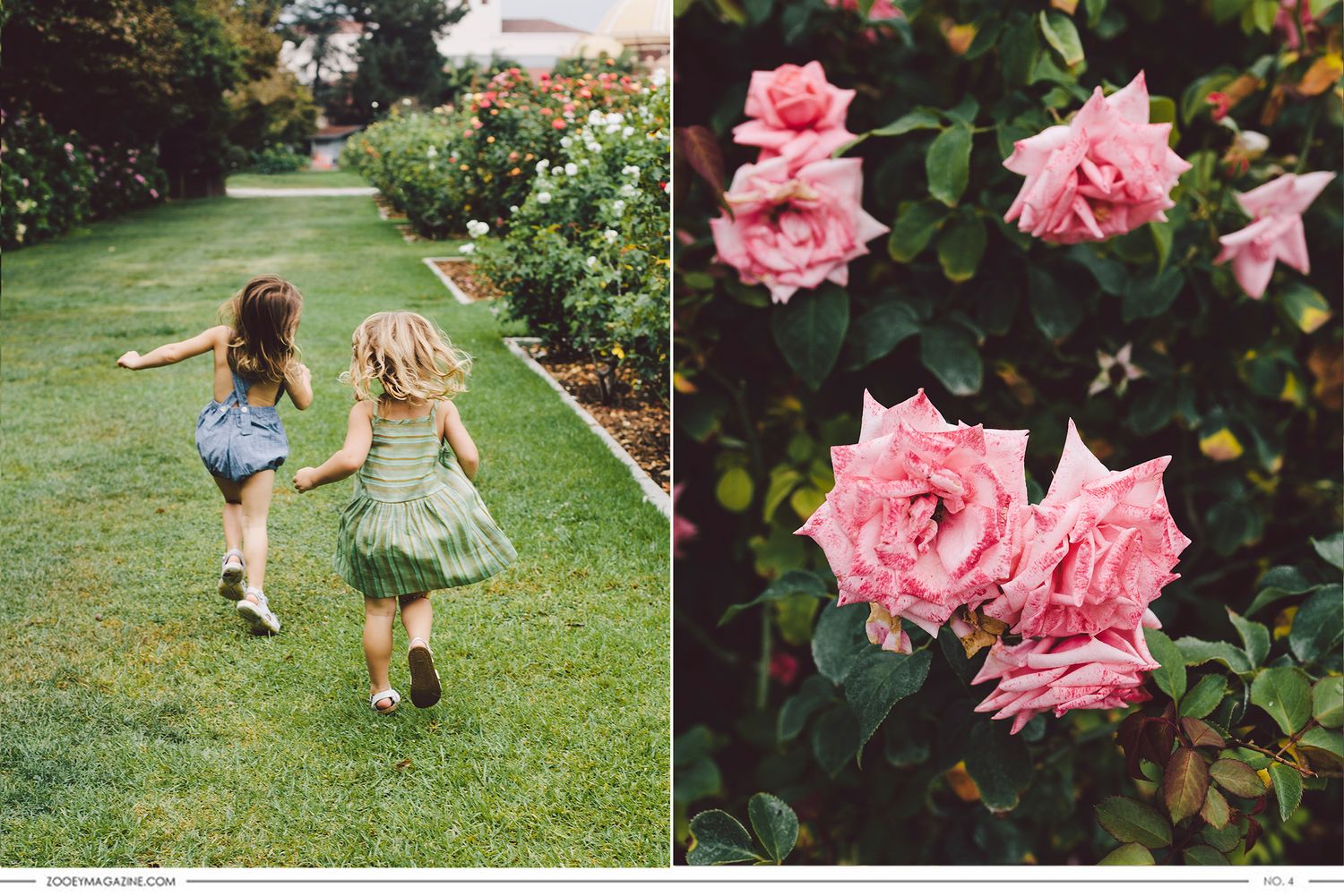 Two playful figures running through a lush garden path beside blooming pink roses in a split-image composition.
