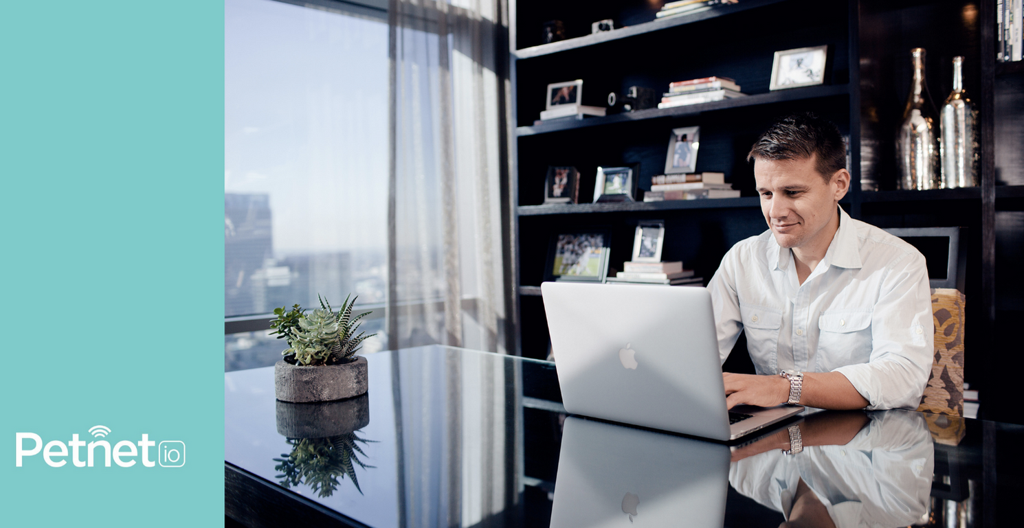 Person working on laptop in modern home office with houseplant on windowsill.