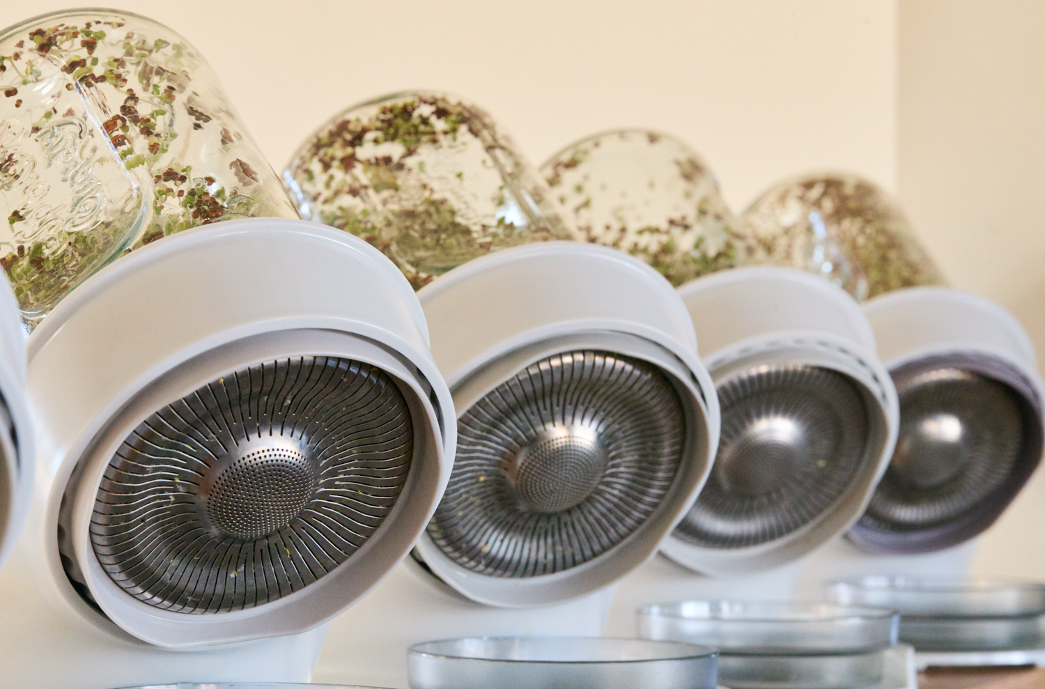 Row of white magnetic spice jars with glass lids filled with dried herbs, mounted on a wall in a modern kitchen.