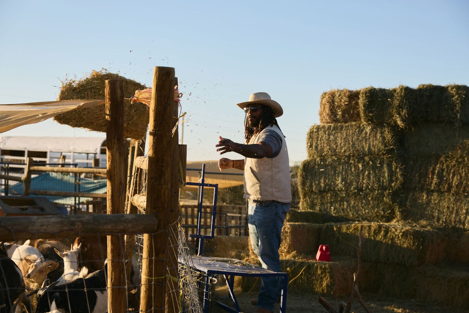 A farmer in a cowboy hat tosses hay near stacked bales on a sunny ranch farm.