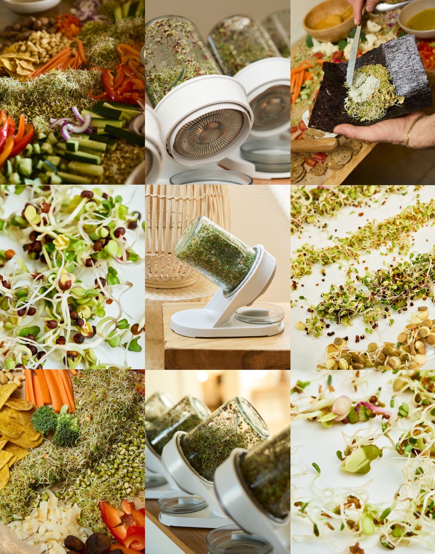 A collage of fresh sprouts, vegetables, and a white sprouting jar device shown from multiple angles with colorful salads and seeds.