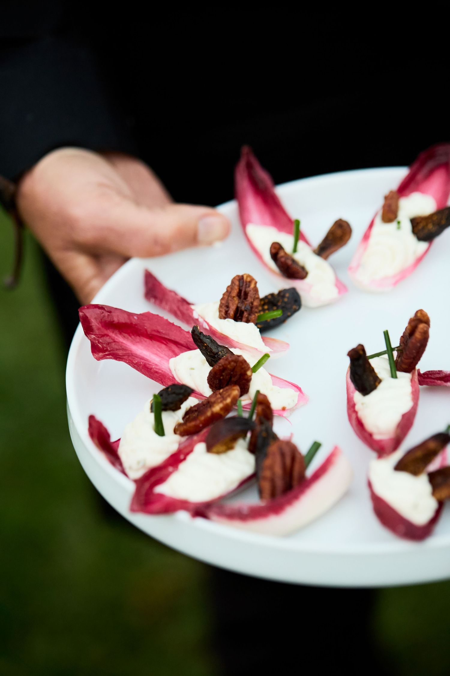 Decorative plate with dark garnishes and pink sauce artfully arranged on a white surface.