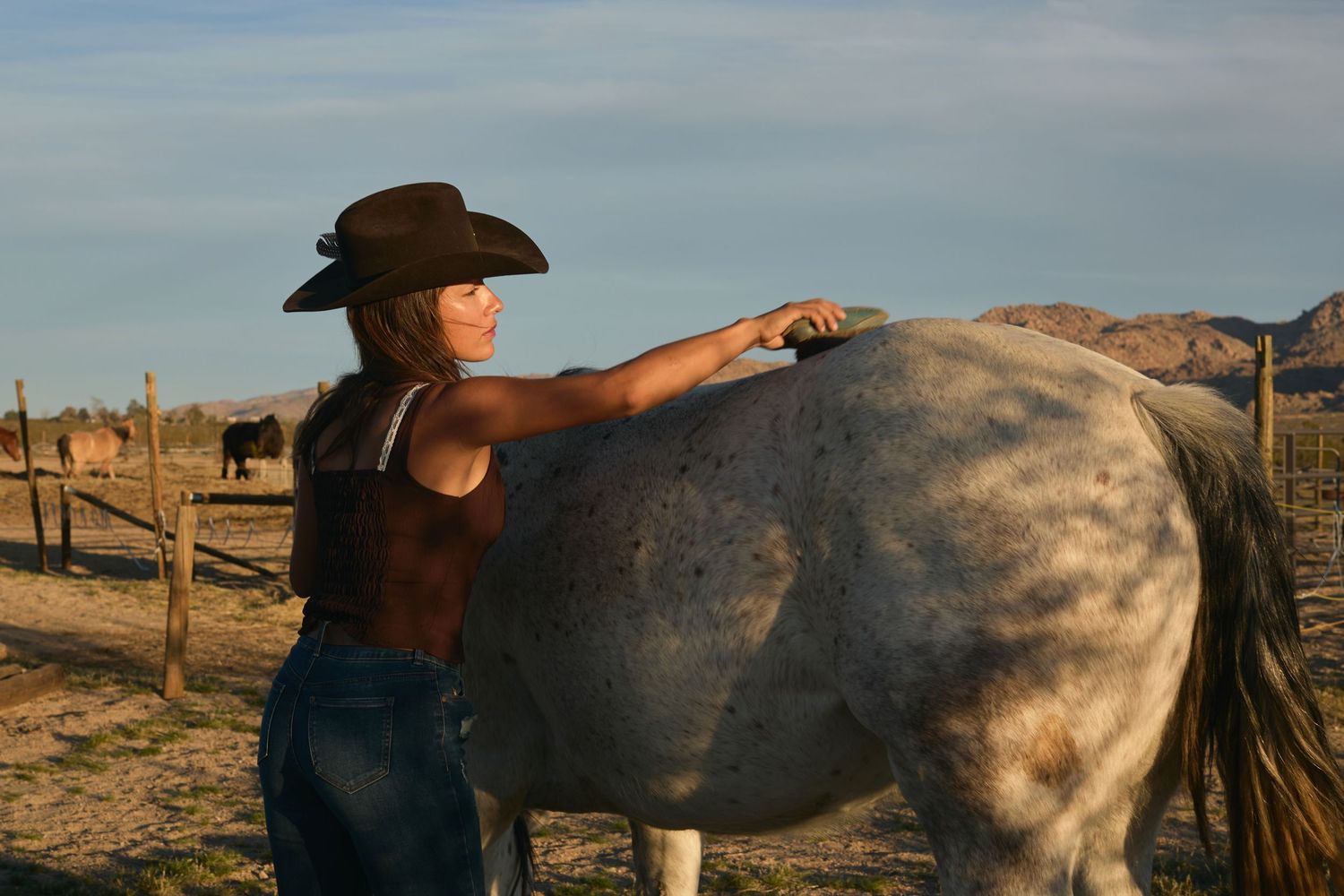 Woman in cowboy hat grooming a gray horse at a ranch during golden hour sunset.