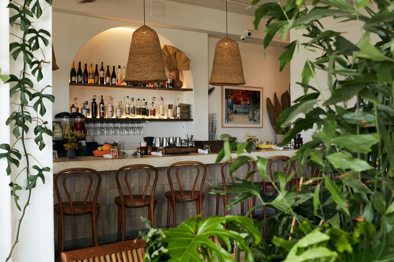Cozy bar interior with woven pendant lamps, wooden barstools, and greenery decorating the walls.