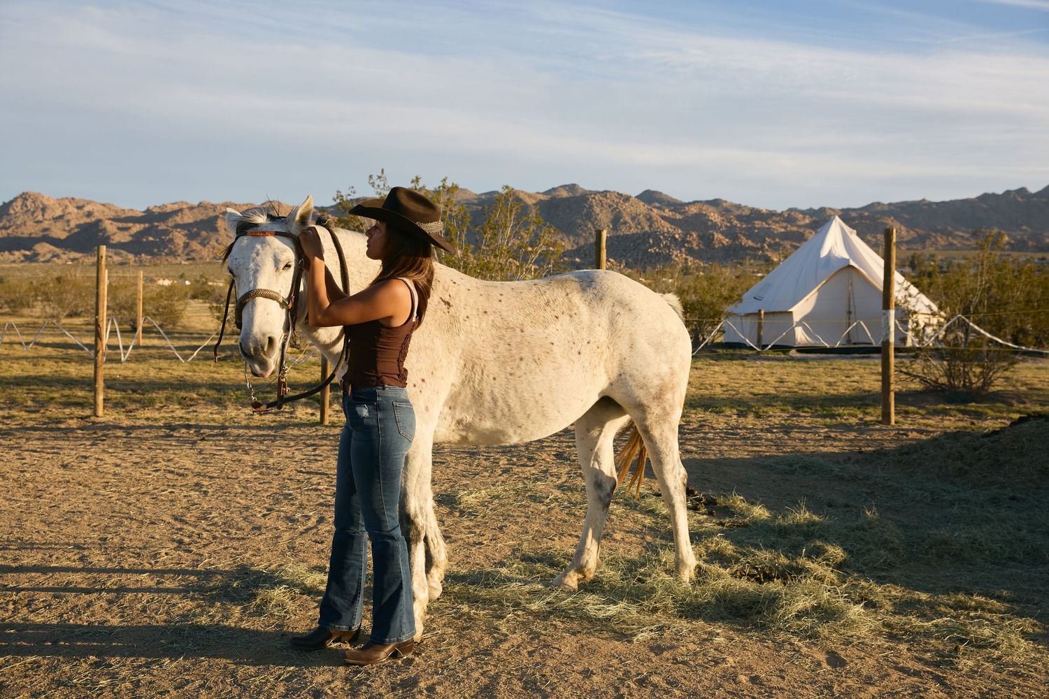A cowgirl in a black hat and jeans saddles a white horse in a desert ranch setting with mountains and tents in background.