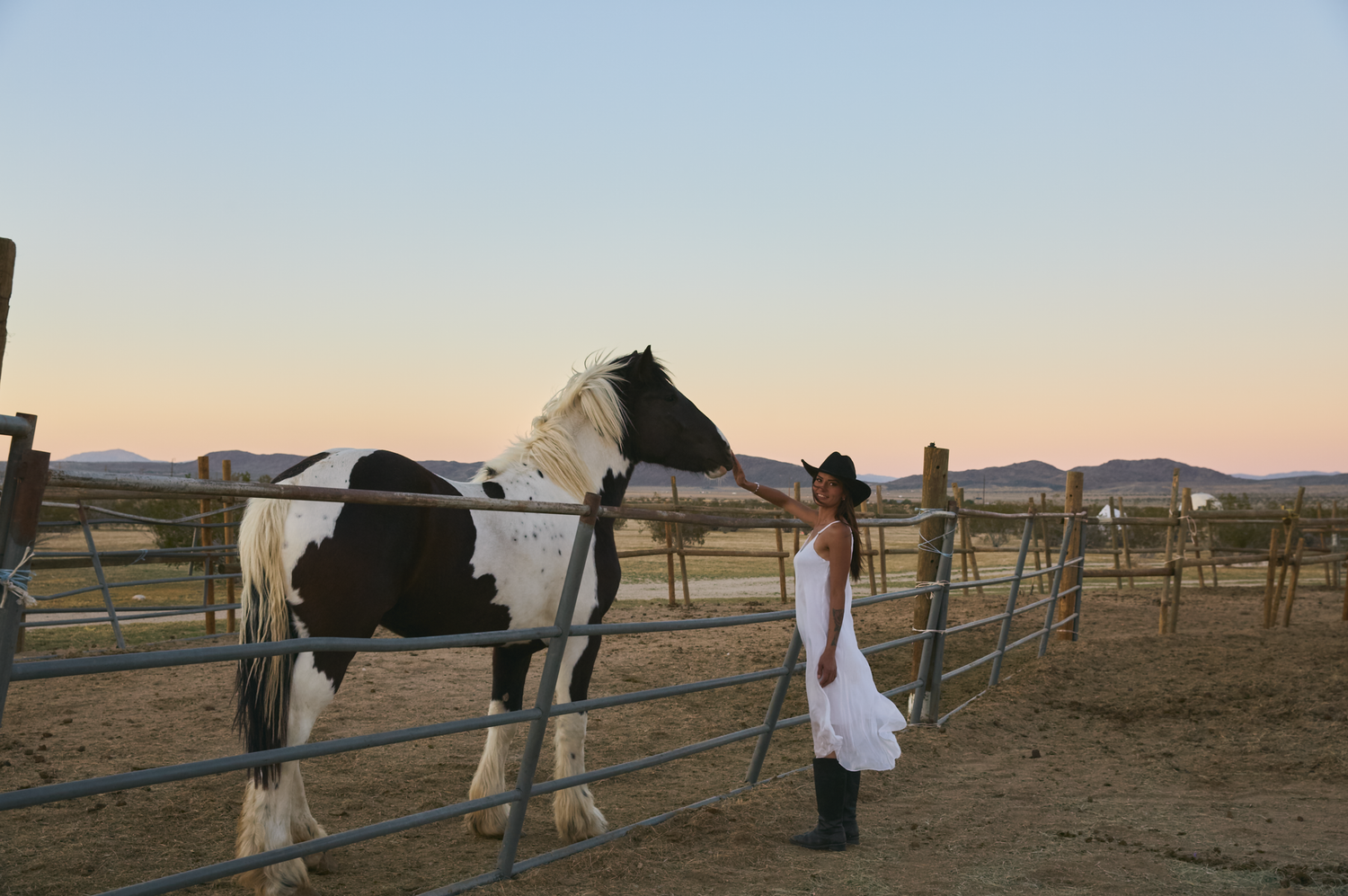 A white and black horse gets sprayed with water in a dusty corral at sunset while someone in white stands nearby.