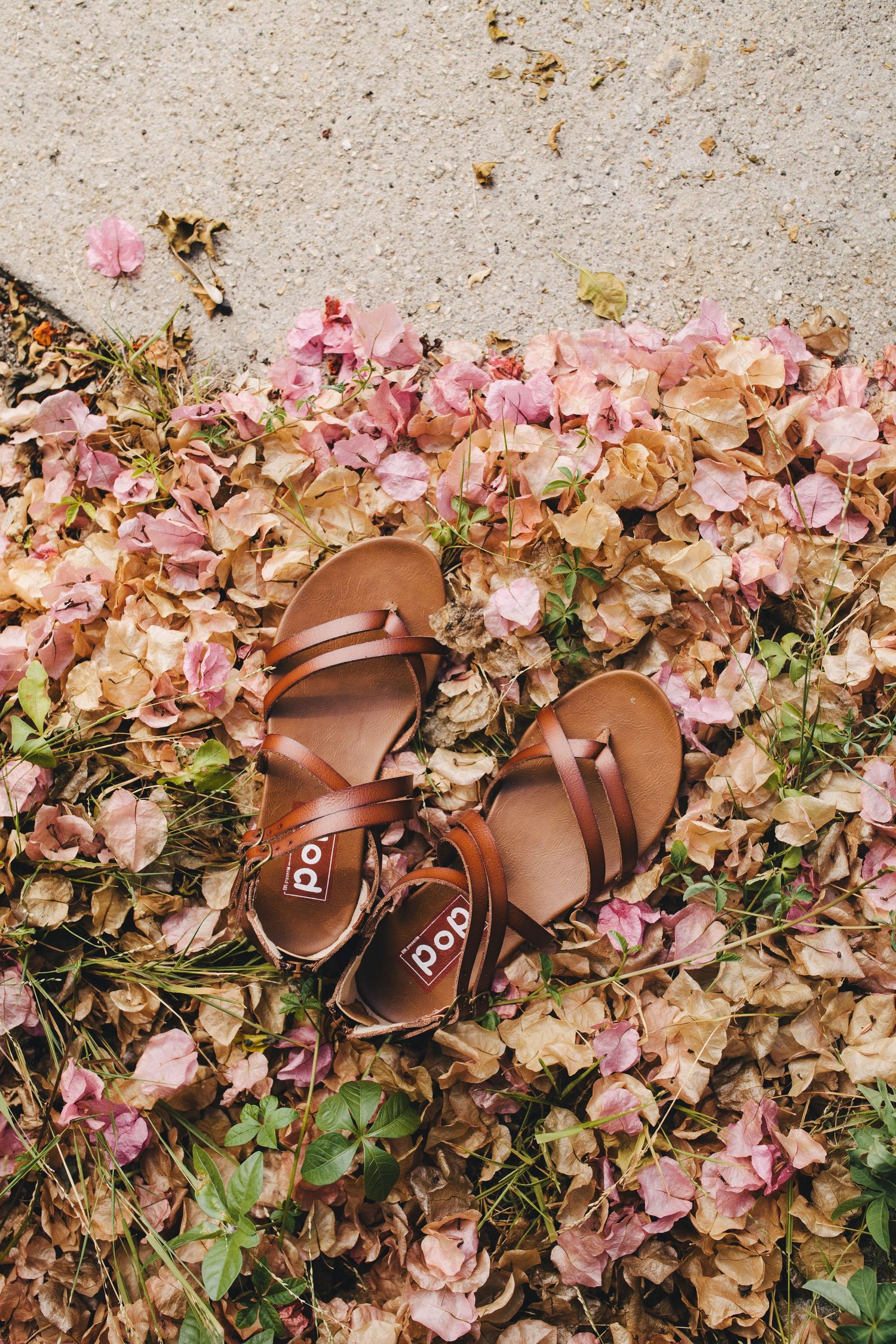 Brown leather sandals lying on dried pink flower petals and leaves scattered on concrete ground.