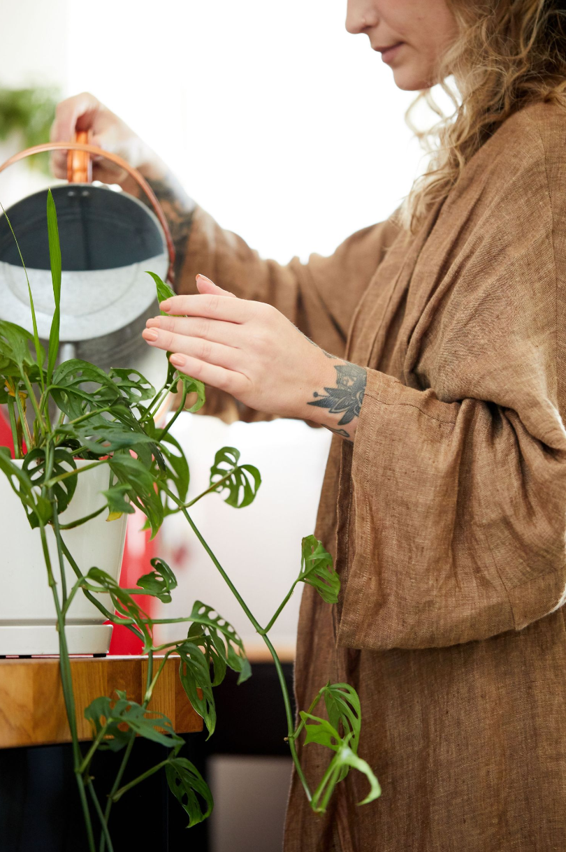 Person in brown linen robe watering houseplants with a white watering can.