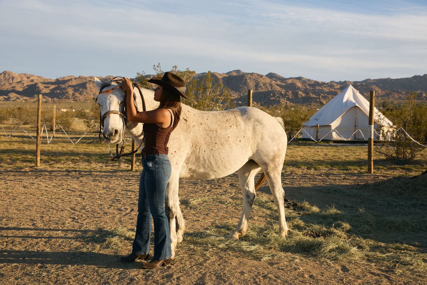 Cowboy in hat and jeans grooming a white horse at a desert ranch with canvas tents in the background.