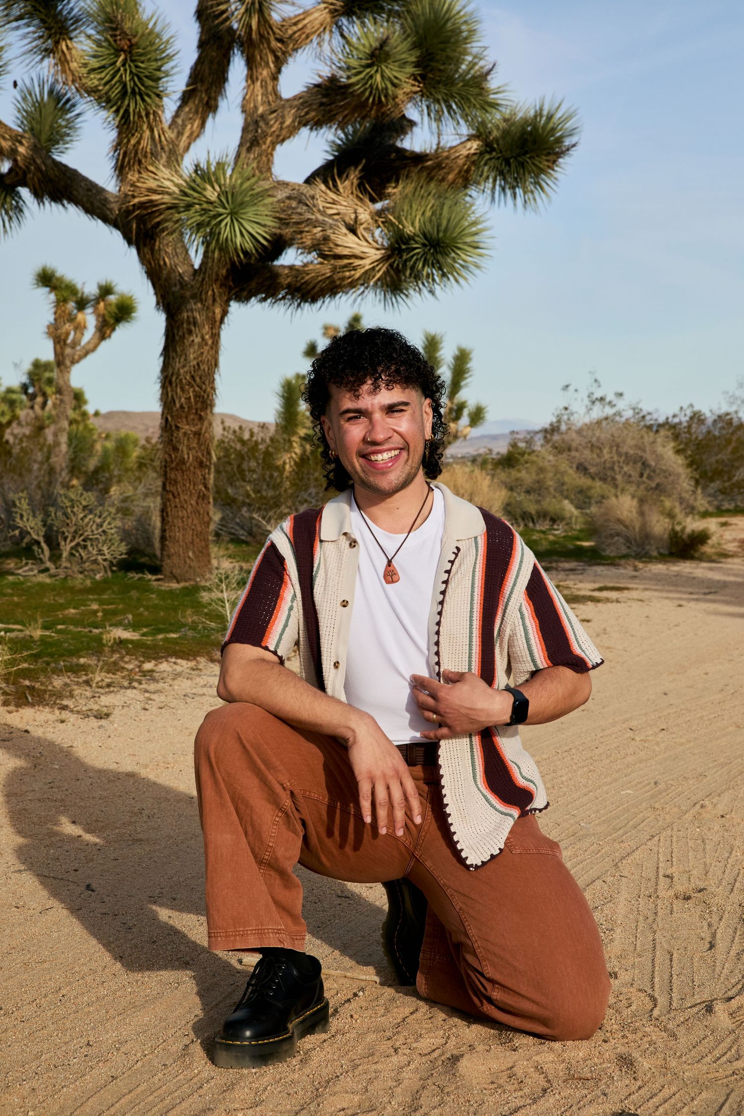 A sequence of desert landscape photos with Joshua trees and a figure sitting on sandy ground in casual attire.