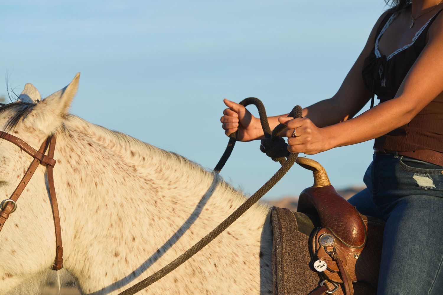 Close-up of rider holding reins on a white horse with a western saddle in sunny outdoors.
