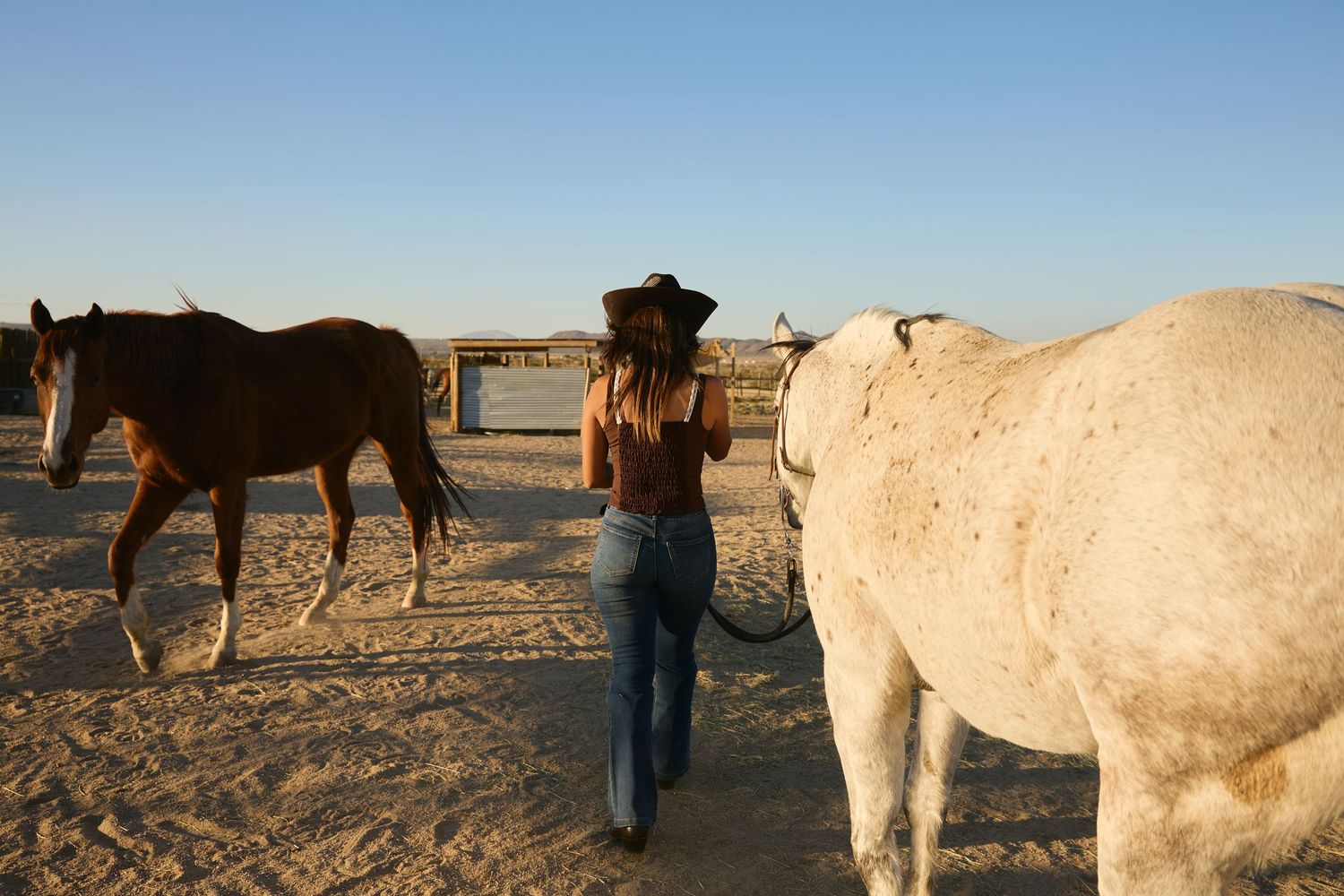 A woman in a cowboy hat and jeans leads two horses across a sandy ranch under a clear blue sky.
