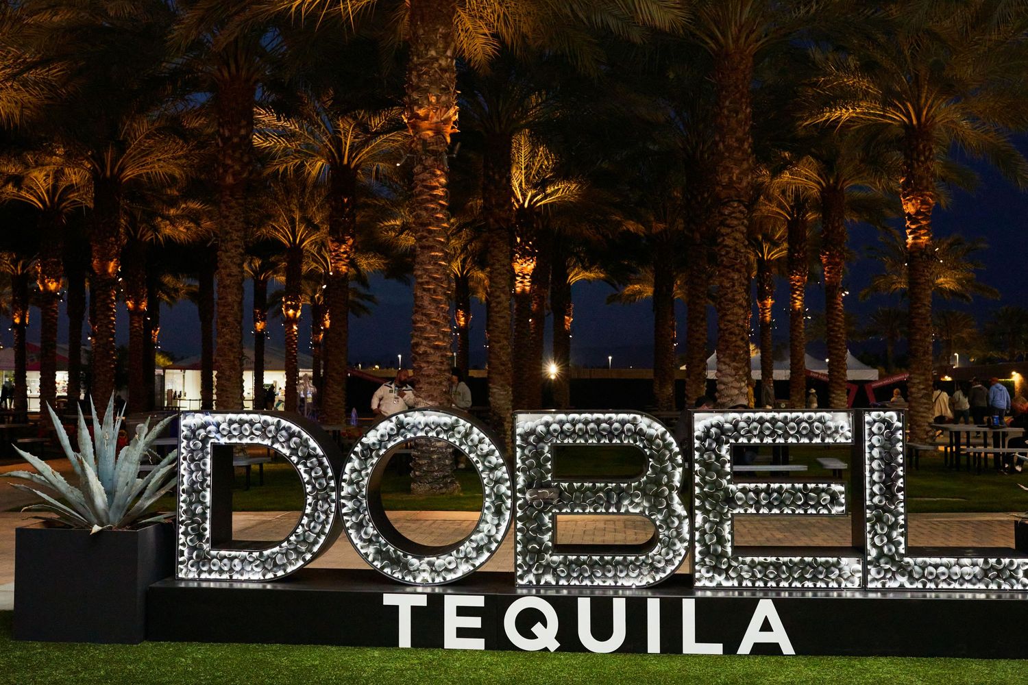 Illuminated DOBEL tequila sign display with palm trees at night.