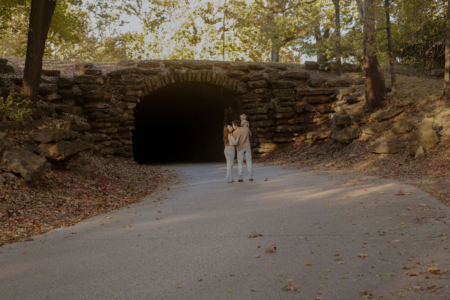 Dog walking on a tree-lined path in a park during autumn.