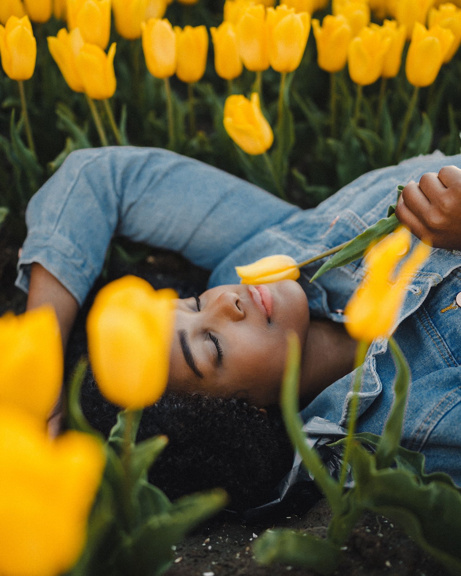 Maternity photoshoot in tulip fields, capturing the beauty of motherhood in spring.