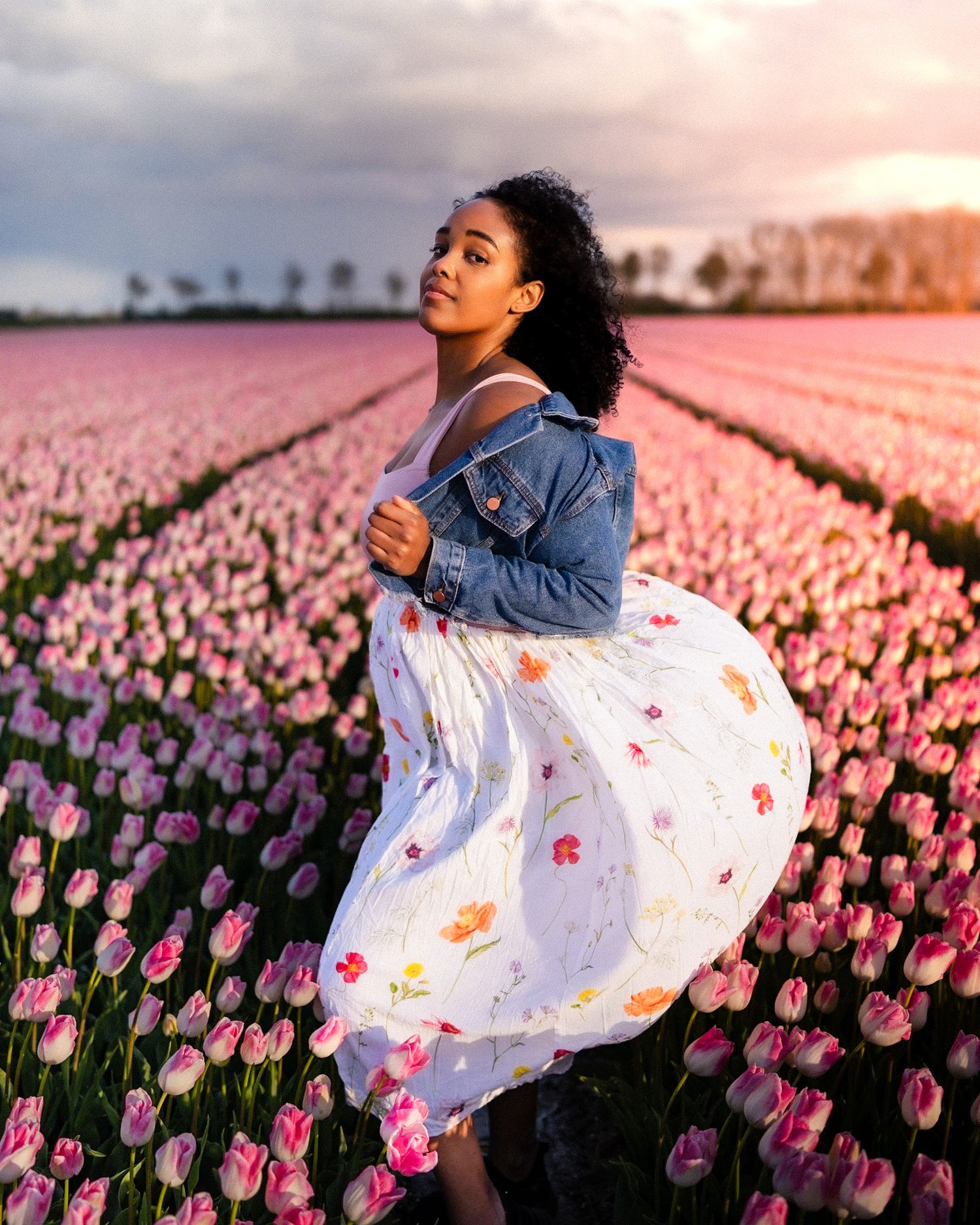 Golden hour family photoshoot in the Netherlands' famous tulip fields.