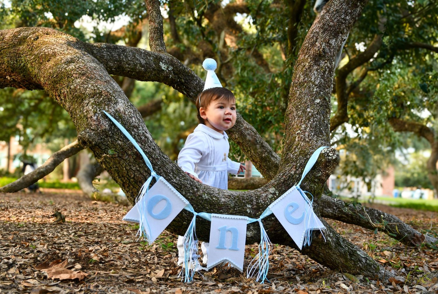 A toddler in a white outfit sits in a tree with a first birthday banner below.