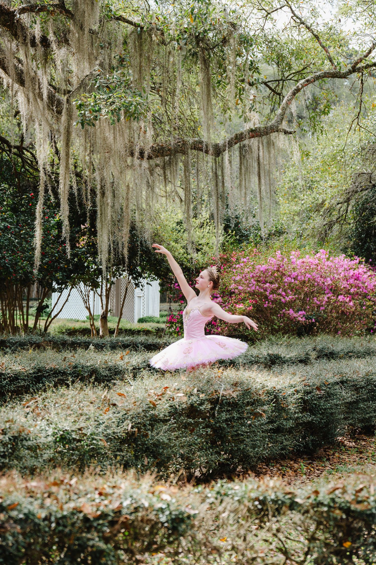 Ballet dancer in pink tutu leaps gracefully in a lush garden with Spanish moss and blooming azaleas.