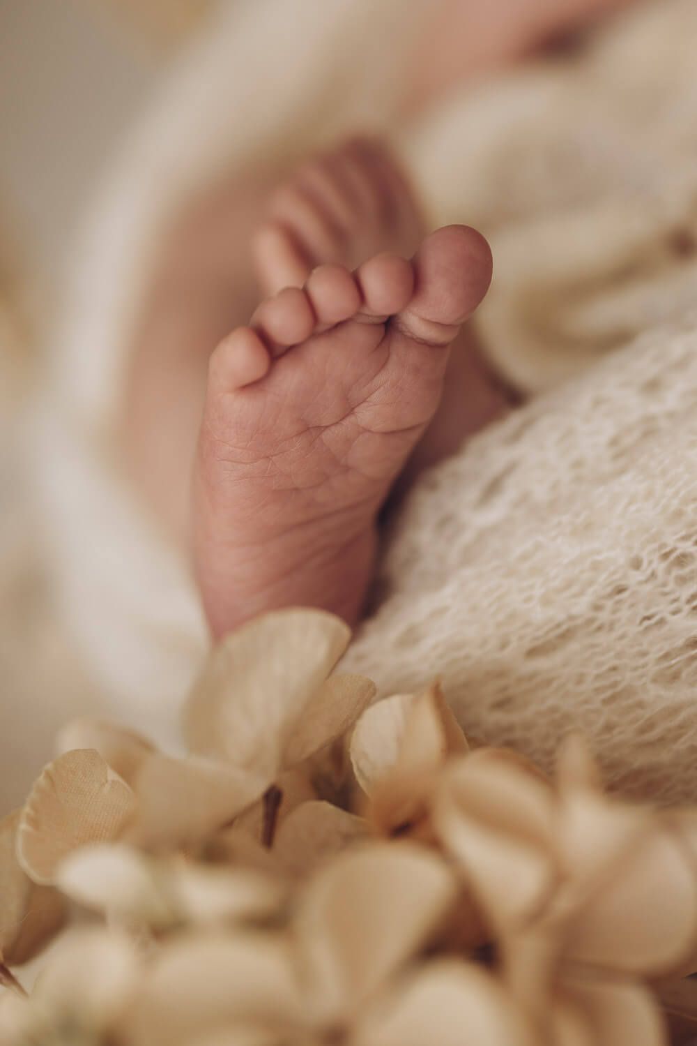Detailaufnahme eines kleinen Babyfußes bei einem emotionalen Neugeborenen Fotoshooting in Celle