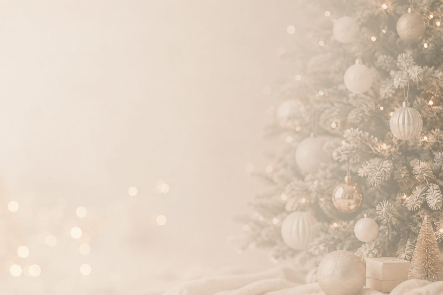 Fotoshooting von Artikeln im Weihnachtlichen Stil. Weihnachtsmini im Fotostudio Hannover