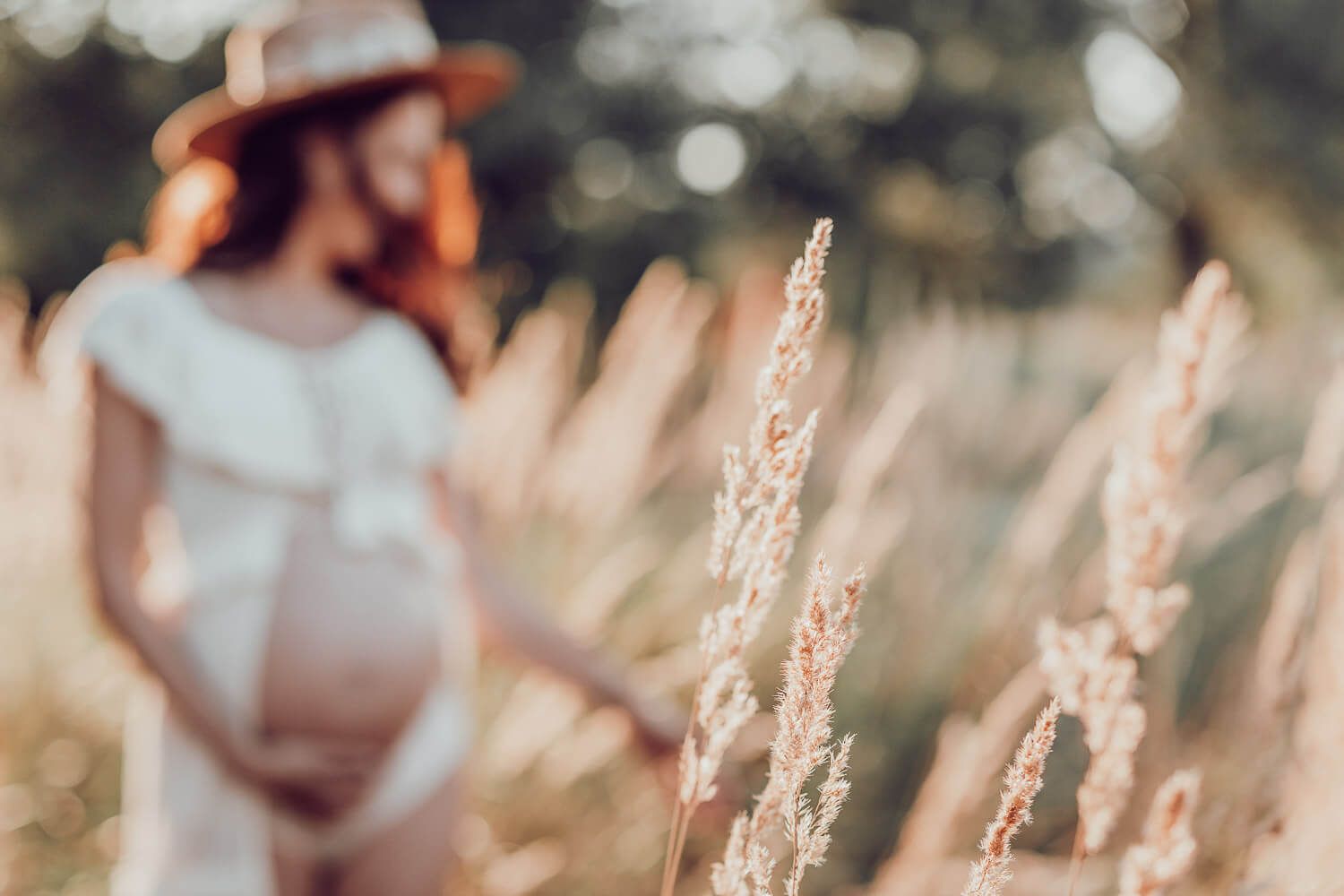 Babybauch Fotoshooting in Hannover – schwangere Frau zwischen hohen Gräsern bei Sonnenuntergang