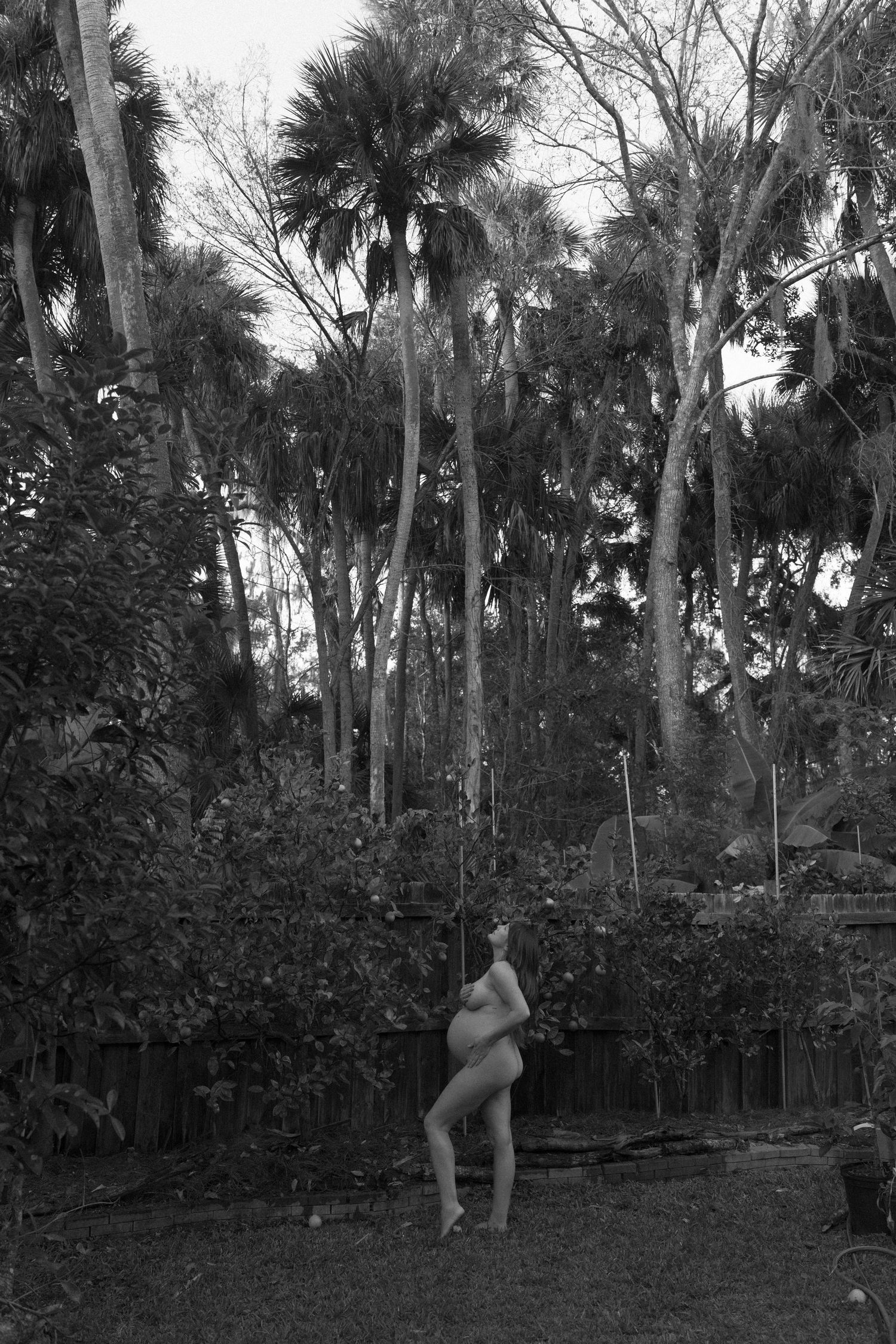 A sequence of black and white photos showing someone climbing a palm tree in a tropical garden setting.