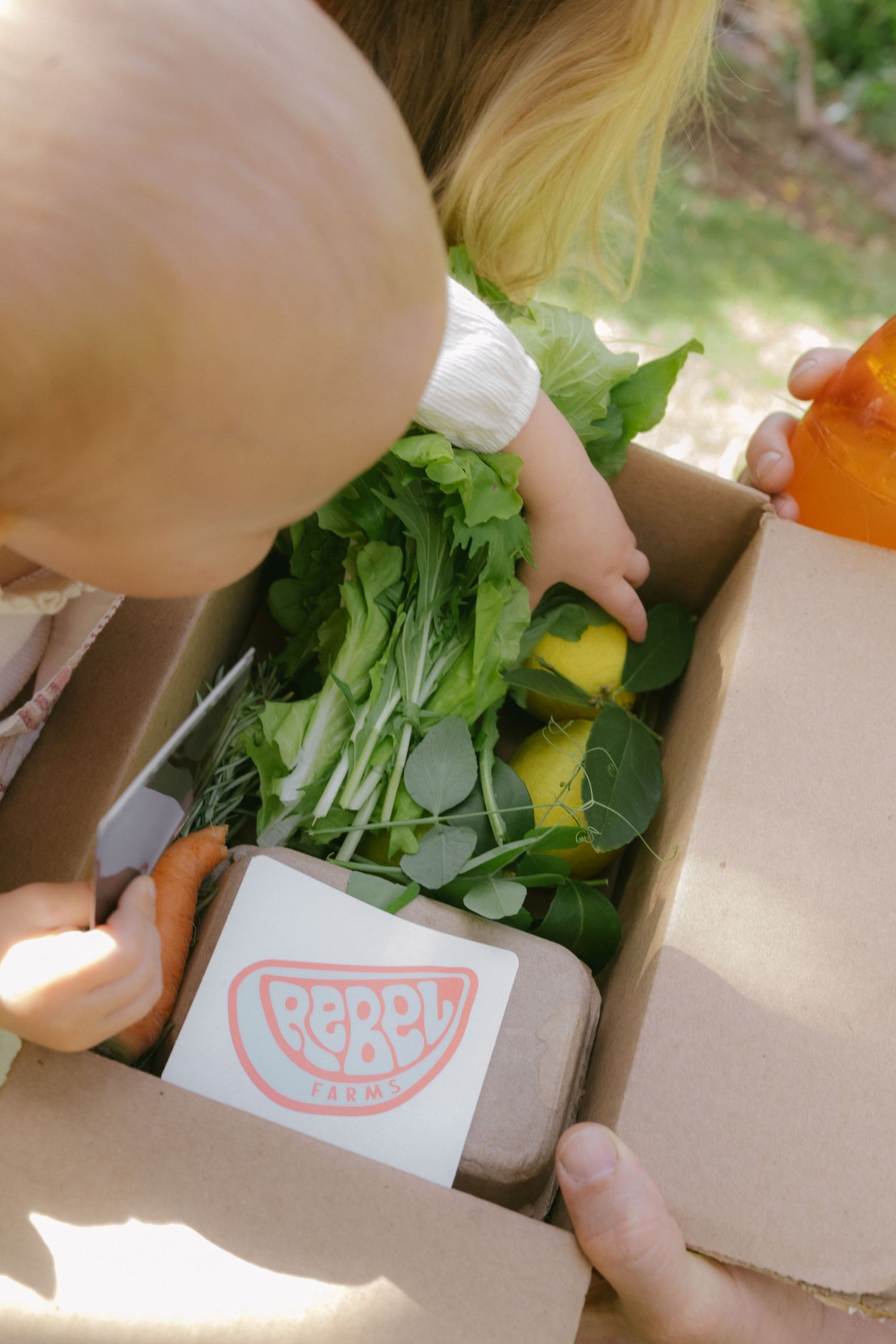 Close-up series showing hands opening a produce delivery box revealing fresh leafy greens and vegetables.