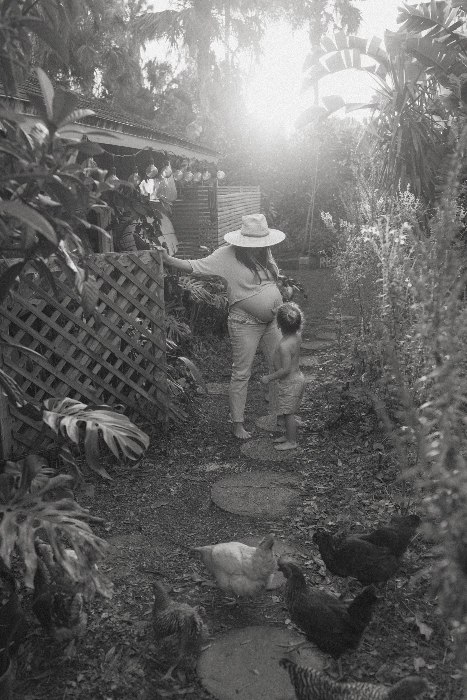 People in sun hats tend to a lush garden path with tropical plants and lattice fencing in black and white photography.