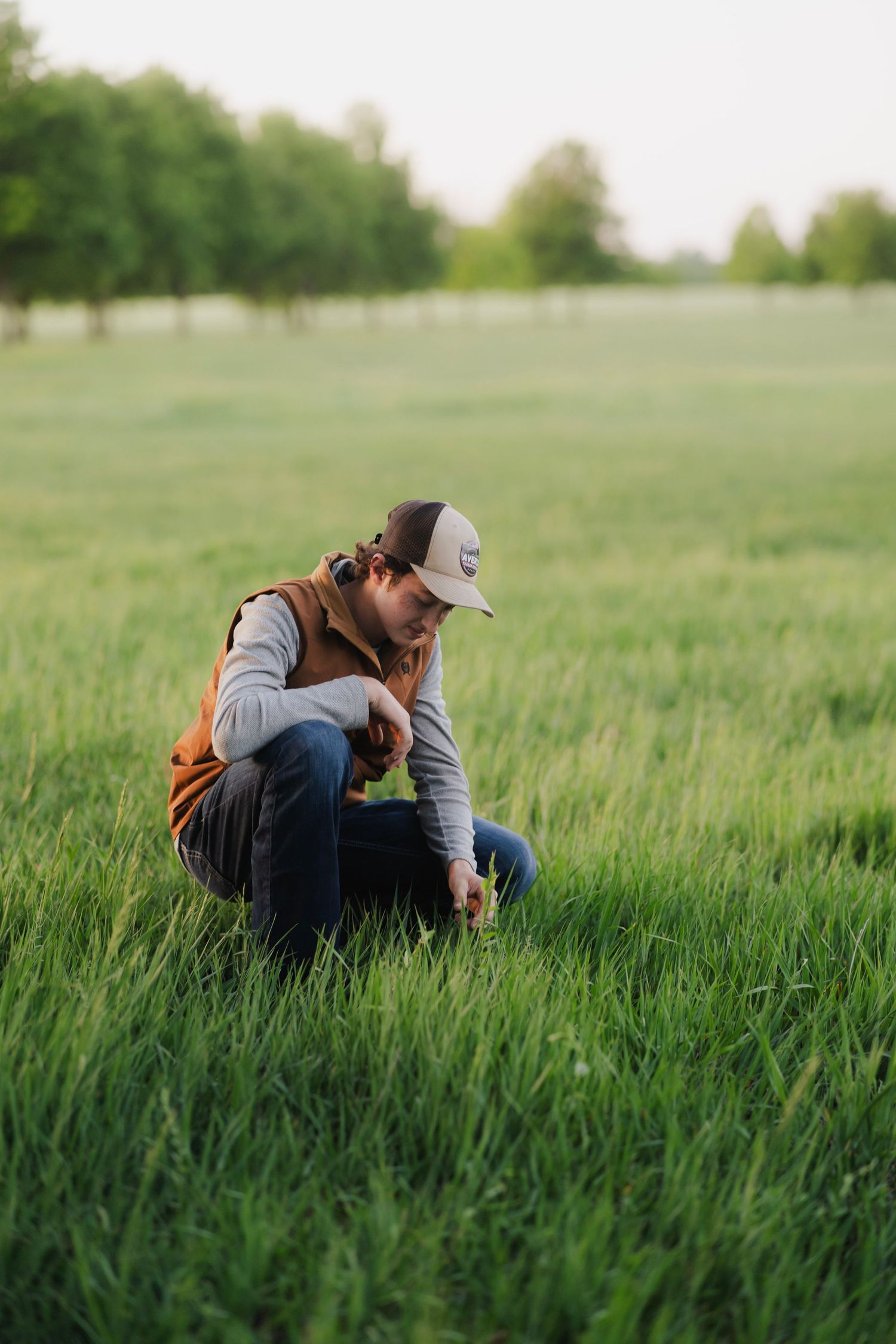 Farmer crouching in lush green field examining crops at golden hour, wearing brown vest and cap.