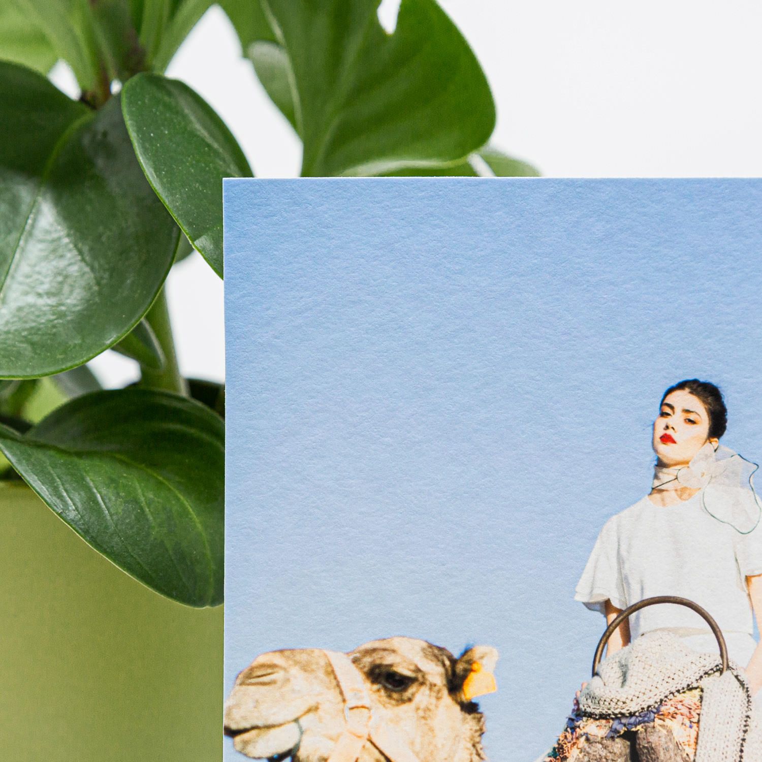 Fine art print of a woman with camels on textured paper beside a green tropical plant.